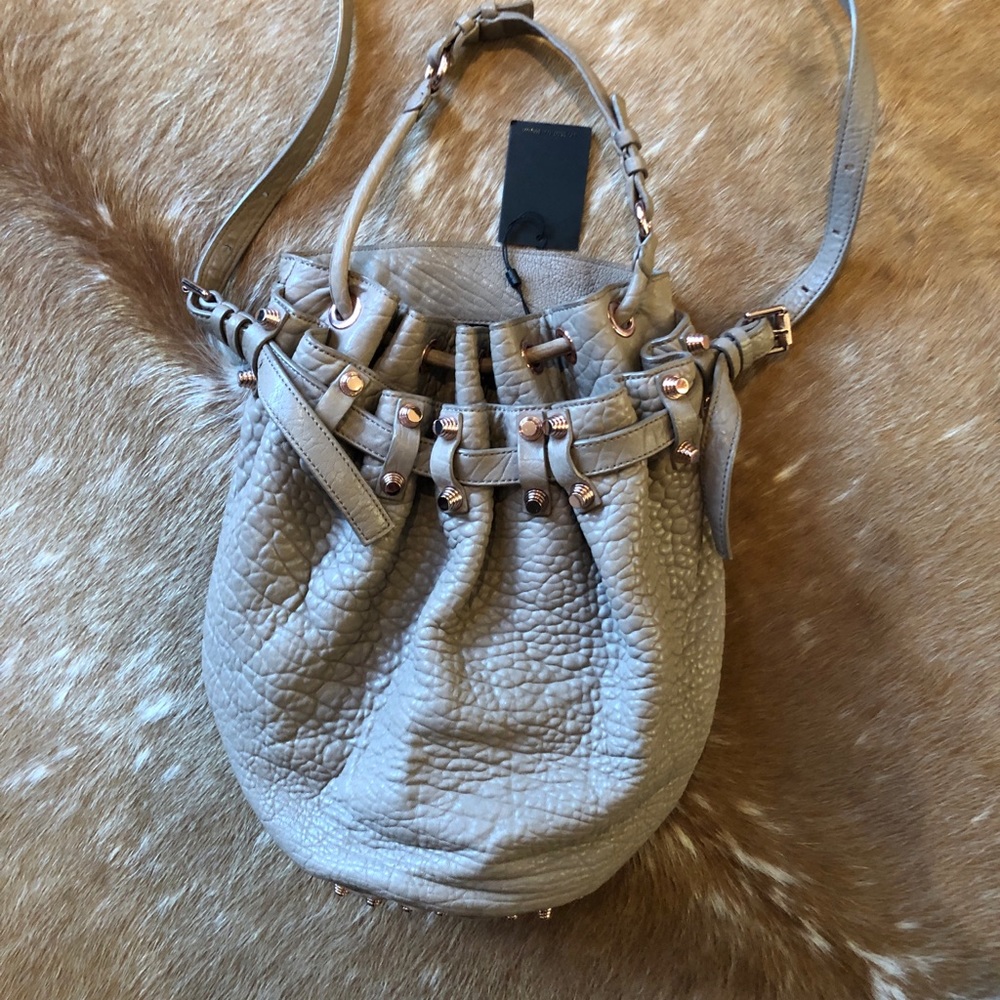 Alexander Wang Diego bucket bag